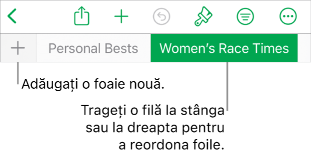 Bara de file pentru adăugarea unei foi noi, navigarea, reordonarea și reorganizarea foilor.