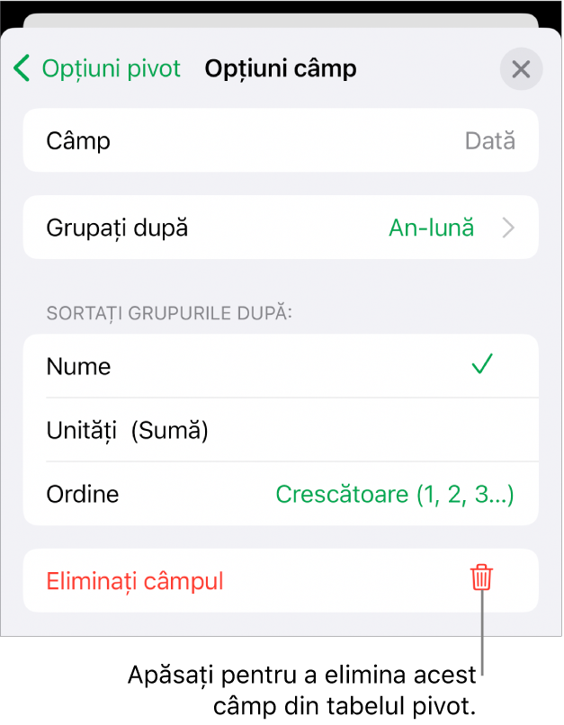 Meniul Opțiuni câmp afișând comenzile pentru gruparea și sortarea datelor și opțiunea de eliminare a unui câmp.