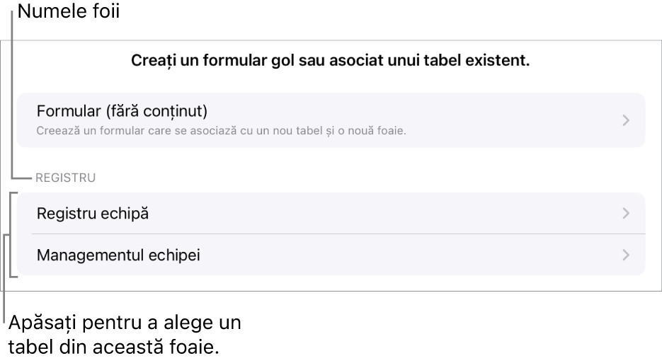 O listă de tabele care sunt în aceeași foaie de calcul, având sus opțiunea de a crea un formular gol.