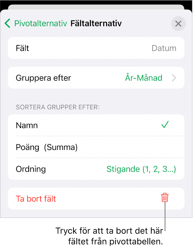 Menyn Fältalternativ visar reglage för att gruppera och sortera data samt alternativet att ta bort ett fält.