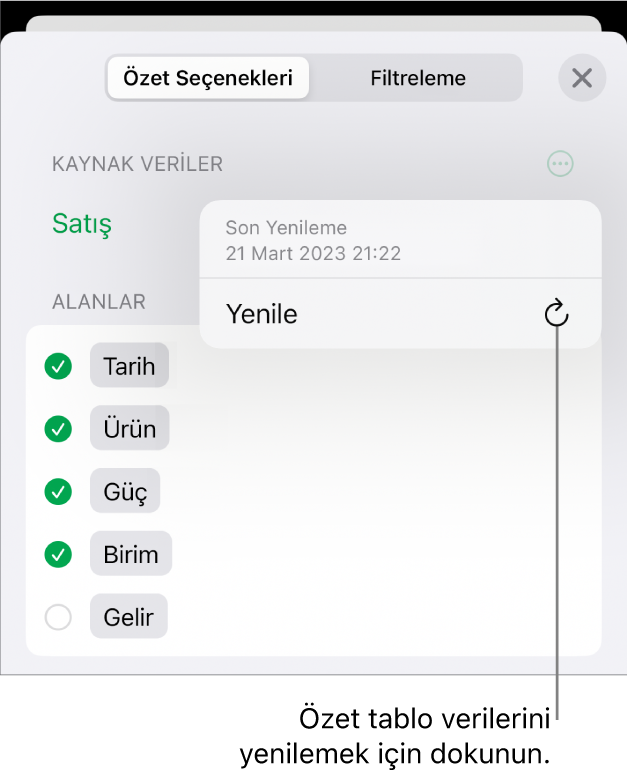 Özet tabloyu yenileme seçeneğini gösteren Özet Seçenekleri menüsü.