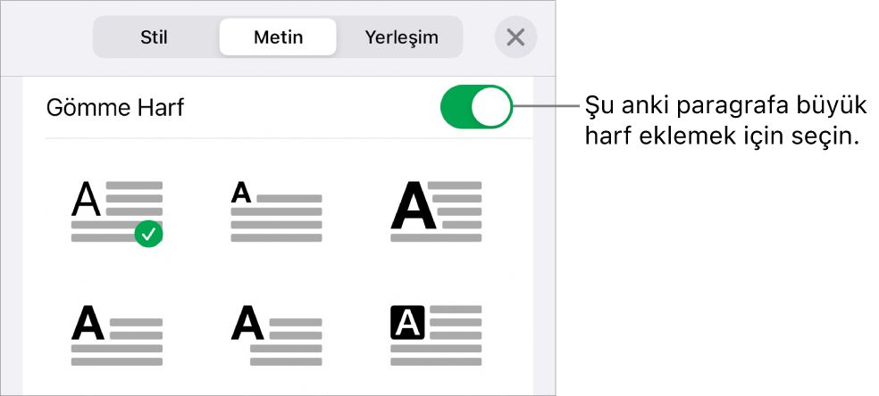 Metin menüsünde yer alan İlki Büyük Harf denetimleri.