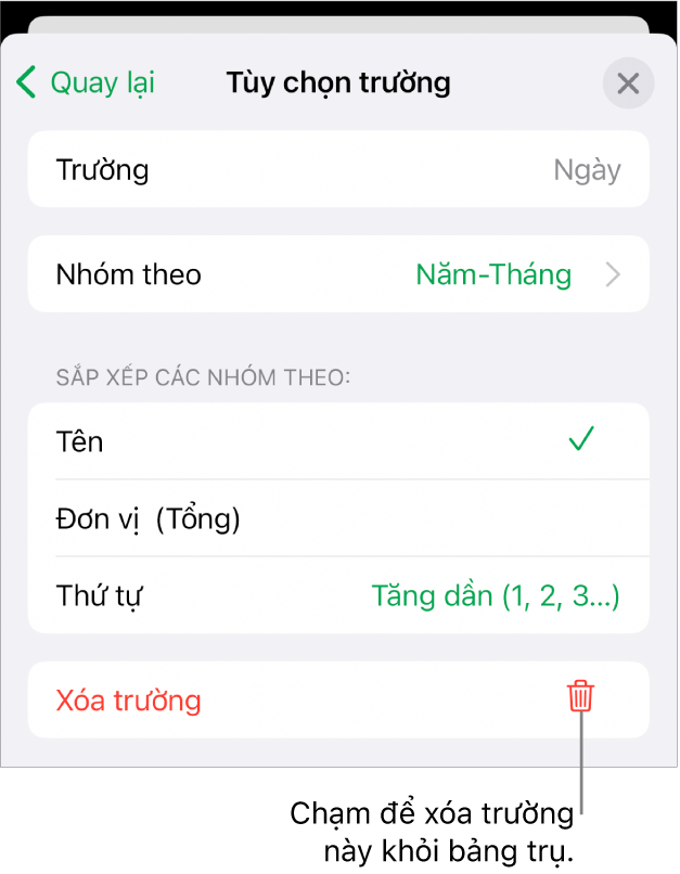 Menu Tùy chọn trường, đang hiển thị các điều khiển để nhóm và sắp xếp dữ liệu cũng như tùy chọn để xóa trường.