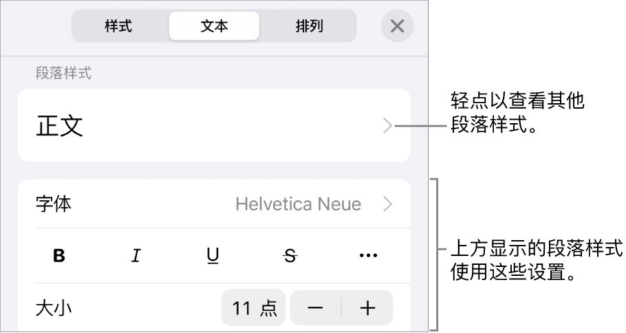 显示文本控制的“格式”菜单，用于设定段落和字符样式、字体、大小和颜色。