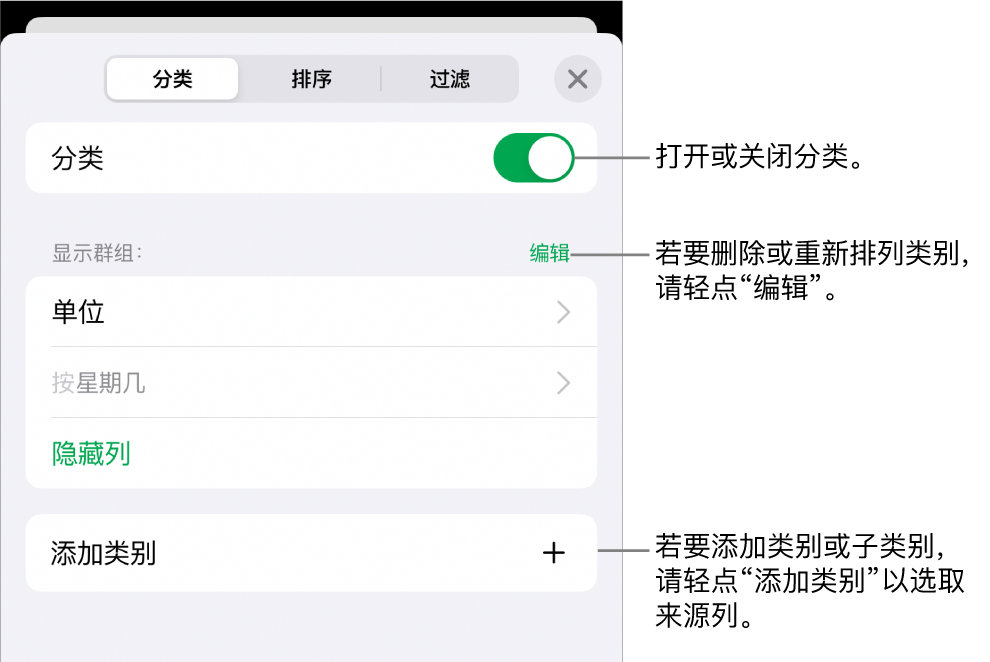 iPhone 上的“类别”菜单带有以下选项：关闭类别、删除类别、重新成组数据、隐藏来源列和添加类别。