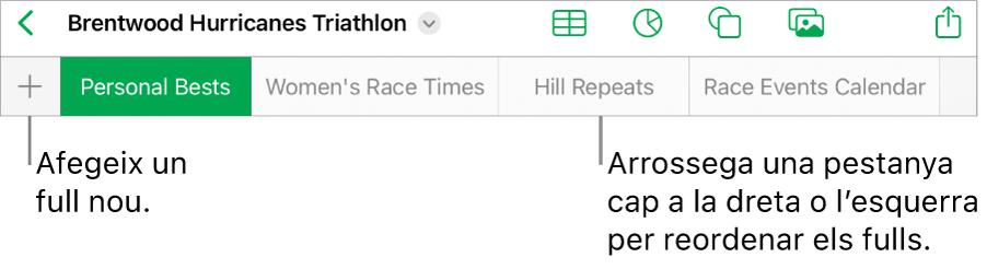 Barra de pestanyes per afegir un nou full, navegar, reordenar i reorganitzar els fulls.
