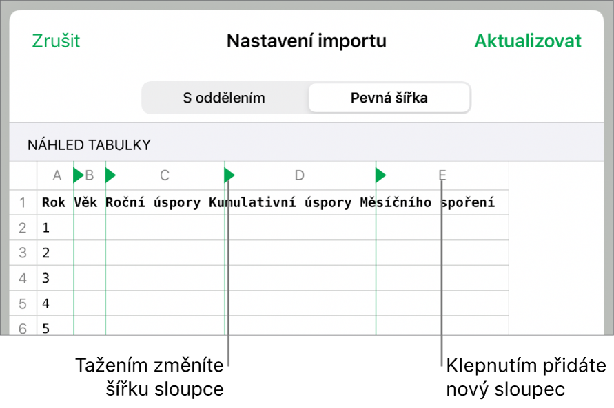 Nastavení importu pro text s pevnou šířkou.