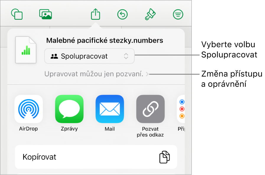 Nabídka sdílení, v níž je nahoře vidět vybraná volba Spolupracovat a pod ní volby pro nastavení přístupu a oprávnění