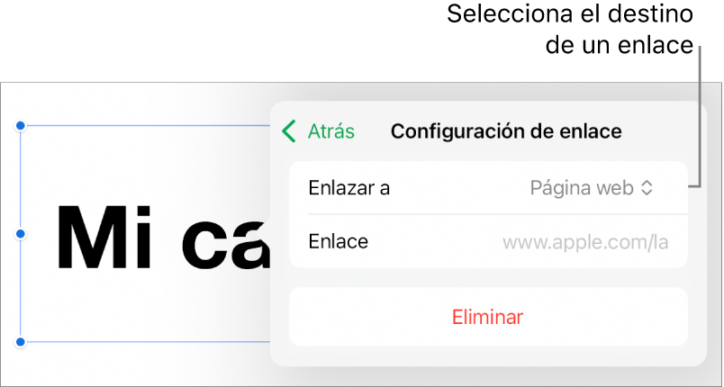 Los controles de Configuración de enlace con la opción Página web seleccionada, y el botón Eliminar en la parte de abajo.