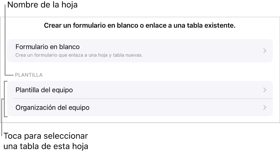 Una lista de tablas que están en la misma hoja de cálculo, con la opción de crear un formulario en blanco en la parte superior.