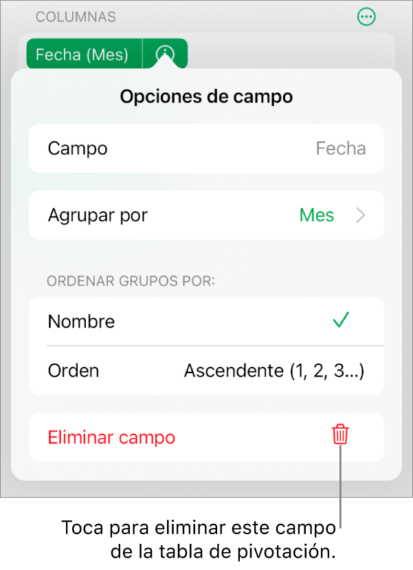 El menú Opciones de campo, que muestra los controles para agrupar y ordenar datos, así como la opción para eliminar un campo.