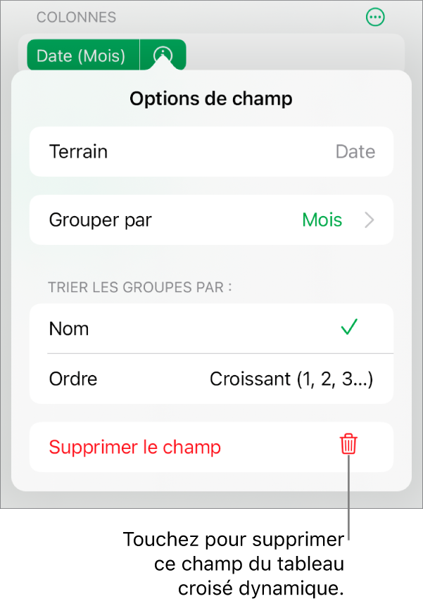 Menu Options de champ avec commandes de regroupement et de tri des données, ainsi que l’option de suppression de champ.