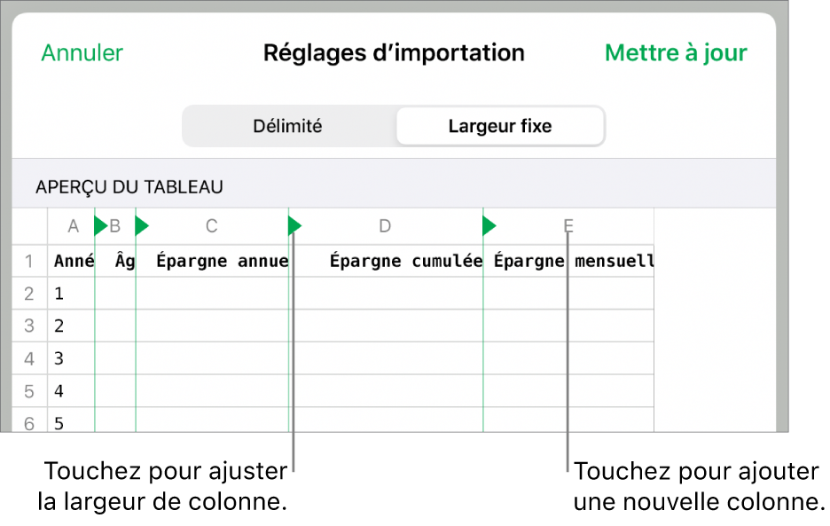 Réglages d’importation d’un fichier texte à largeur fixe.