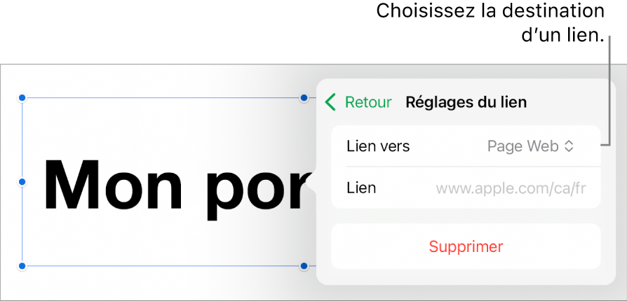 Les commandes Réglages du lien avec l’option Page Web sélectionnée au-dessus du bouton Supprimer.