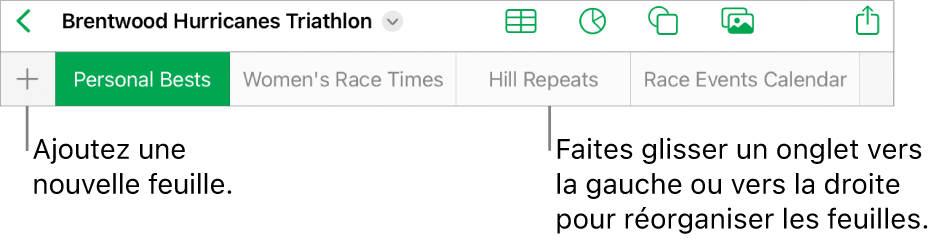 Barre des onglets pour ajouter une feuille, naviguer et réorganiser les feuilles.