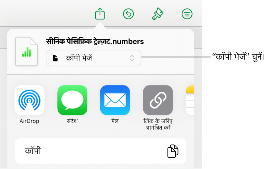 “शेयर करें” मेनू जिसके शीर्ष पर “कॉपी भेजें” चुना गया है।