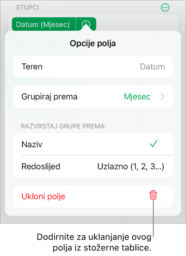 Izbornik Opcije polja prikazuje naredbe za grupiranje i razvrstavanje podataka, kao i opcije za uklanjanje polja.