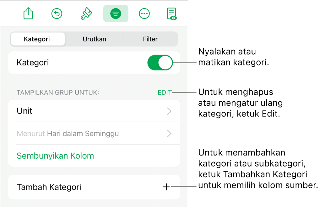 Menu Kategori untuk iPad dengan pilihan untuk mematikan kategori, menghapus kategori, mengelompokkan ulang data, menyembunyikan kolom sumber, dan menambah kategori.