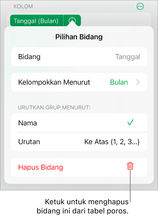 Menu Pilihan Bidang, menampilkan kontrol untuk mengelompokkan dan mengurutkan data, serta pilihan untuk menghapus bidang.