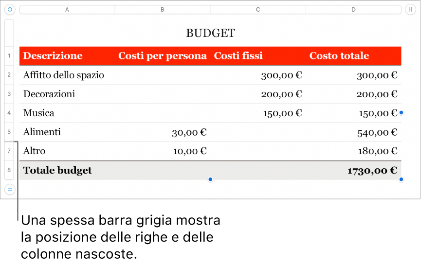 Una spessa barra grigia che mostra la posizione delle righe e colonne nascoste