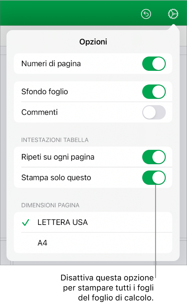 Pannello dell’anteprima di stampa con controlli per visualizzare i numeri di pagina, ripetere le intestazioni su ogni pagina, modificare le dimensioni della pagina e scegliere se stampare l’intero foglio di calcolo o solo il foglio attuale.