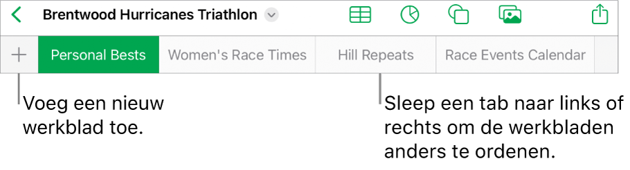 De tabbladbalk voor het toevoegen van een nieuw werkblad, navigeren en het opnieuw ordenen van werkbladen.