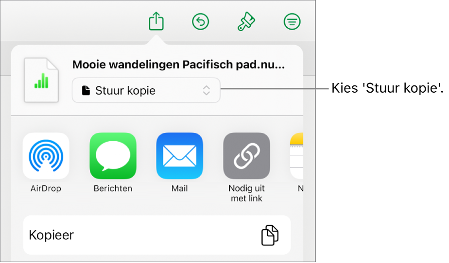 Het Deel-menu waarin bovenin 'Stuur kopie' is geselecteerd.