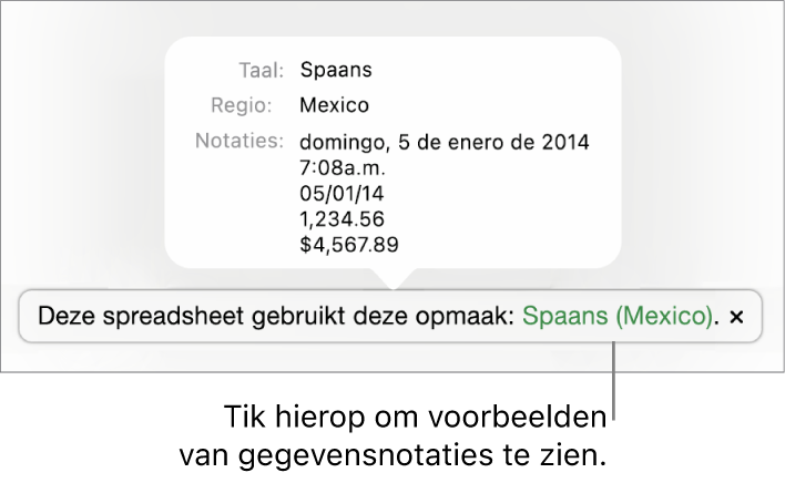 De melding van de afwijkende taal en regio, met voorbeelden van de opmaak in die taal en voor die regio.