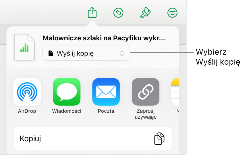 Menu udostępniania z wybraną opcją Wyślij kopię (na górze).