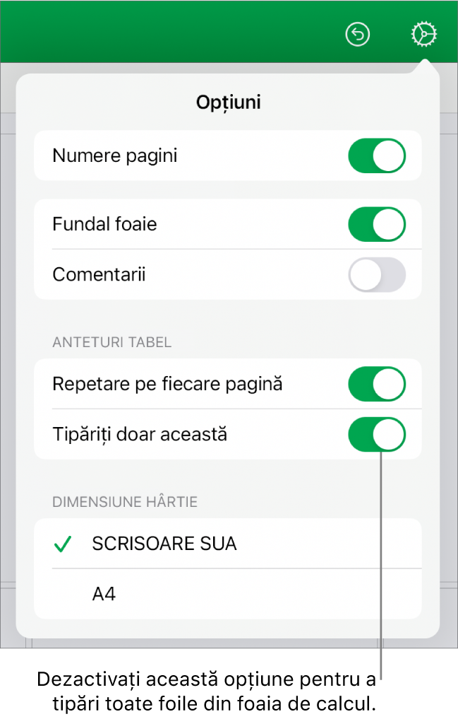 Panoul de previzualizare tipărire, cu comenzi pentru a afișa numerele paginilor, a repeta anteturile pe fiecare pagină, a modifica dimensiunea hârtiei sau a alege dacă să tipăriți întreaga foaie de calcul sau doar foaia curentă.