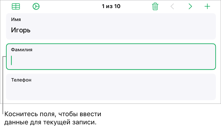 Показана запись в форме. В активном поле находится точка вставки.