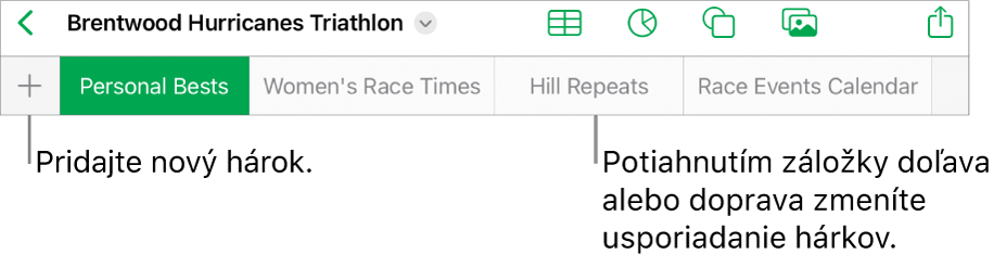 Lišta so záložkami na pridávanie nového hárka, navigáciu, zmenu poradia a preusporiadanie hárkov.