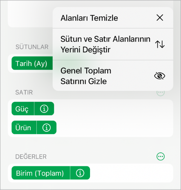 Genel toplamları gizleme, sütun ve satır alanlarını yer değiştirme ve alanları temizleme denetimlerini gösteren Daha Fazla Alan Seçeneği menüsü.