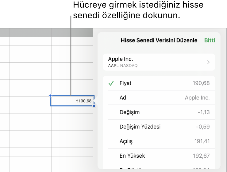 En üstte hisse senedi adı ve onun altında fiyat, ad, değişim, değişim yüzdesi, açılış ve yüksek de dahil olmak üzere seçilebilir hisse senedi özellikleri listelenmiş hisse senedi verisi üst öğesi.