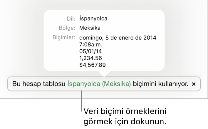 O dil ve bölgede kullanılan biçimlendirme örneklerini gösteren, farklı dil ve bölge ayarı bildirimi.