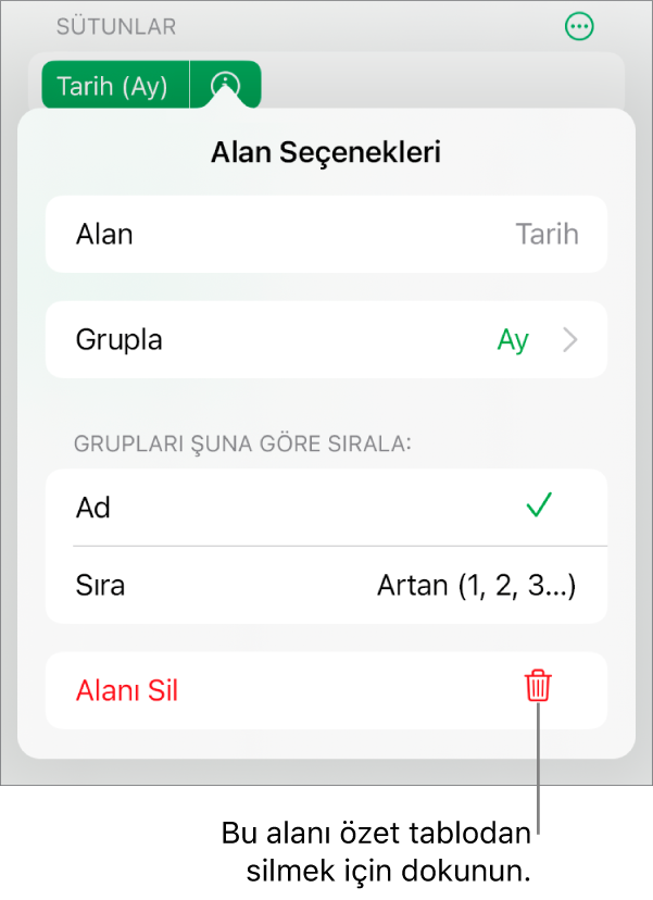 Verileri gruplama ve sıralama denetimleri ile alan silme seçeneğini gösteren Alan Seçenekleri menüsü.