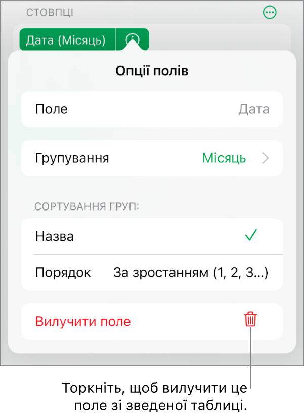 Меню «Опції полів» з елементами керування для групування і сортування даних і з опцією для вилучення поля.