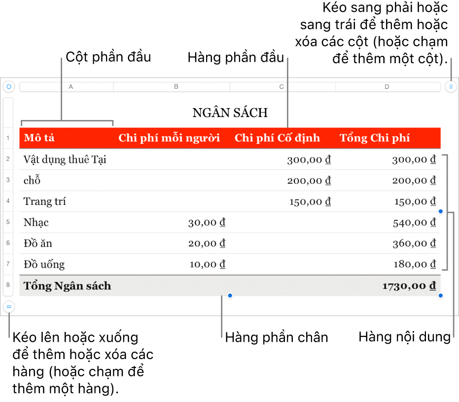 Bảng hiển thị các hàng và cột phần đầu, phần thân và phần chân cũng như các bộ điều khiển để thêm hoặc xóa các hàng hoặc cột.