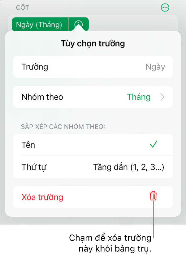 Menu Tùy chọn trường, đang hiển thị các điều khiển để nhóm và sắp xếp dữ liệu cũng như tùy chọn để xóa trường.