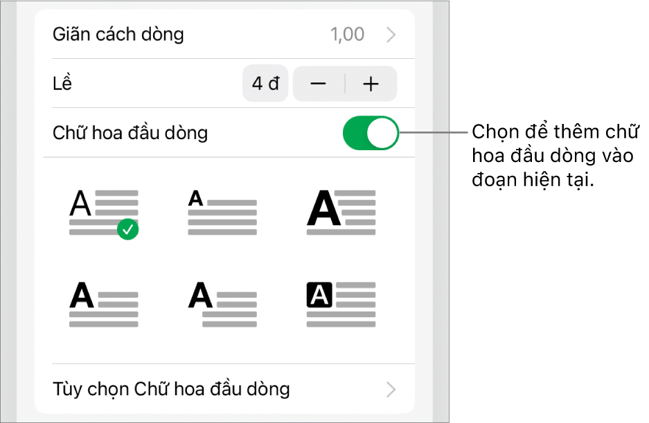 Các điều khiển Chữ hoa đầu dòng nằm trong menu Văn bản.