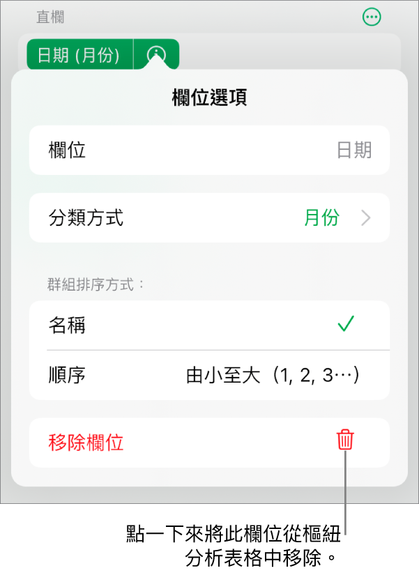 「欄位選項」選單，其顯示群組和排序資料的控制項目，以及移除欄位的選項。