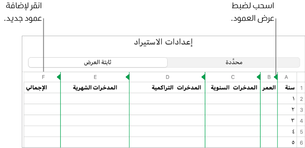 إعدادات الاستيراد لملف نصي ثابت العرض.