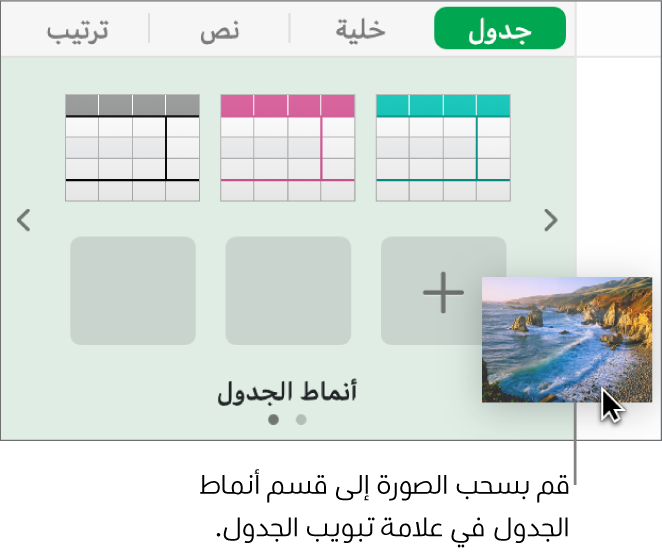 سحب صورة إلى أنماط الجدول لإنشاء نمط جديد.