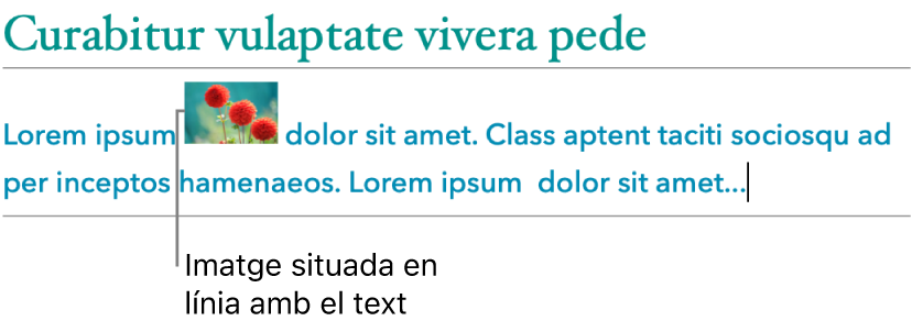 Imatge situant‑se integrada amb el text.
