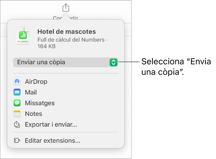 Menú “Compartir” amb l’opció “Enviar una còpia” seleccionada a la part superior.