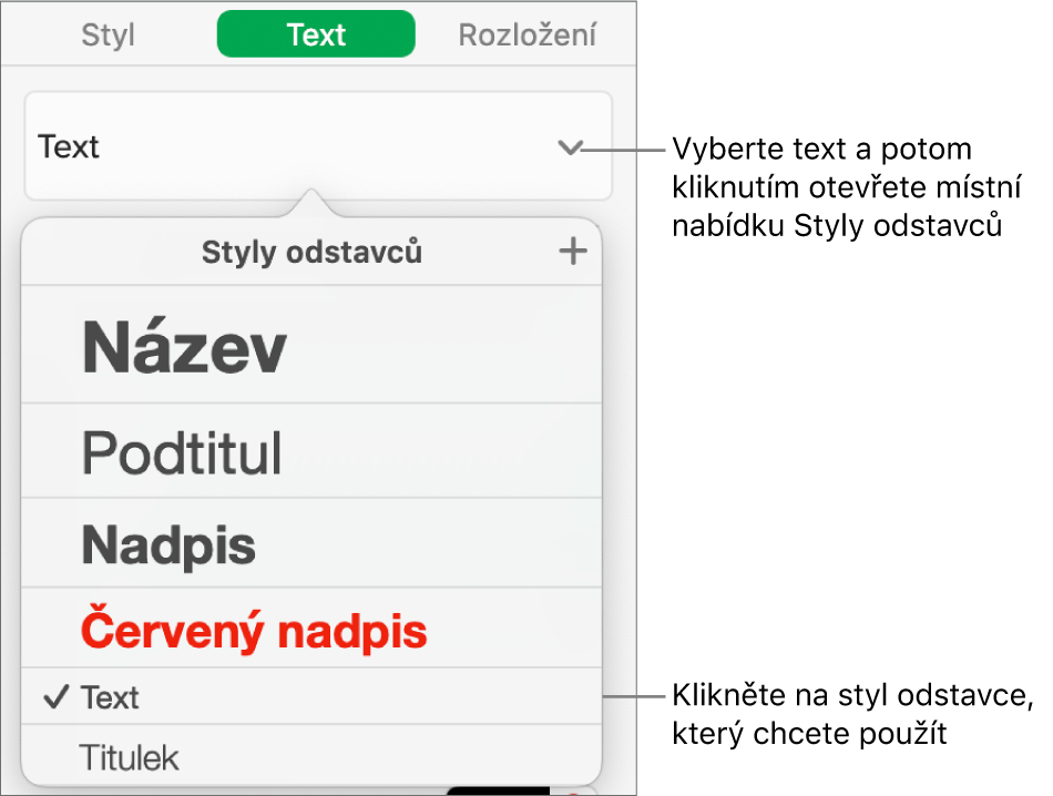 Nabídka Styly odstavců se zaškrtnutím u vybraného stylu.