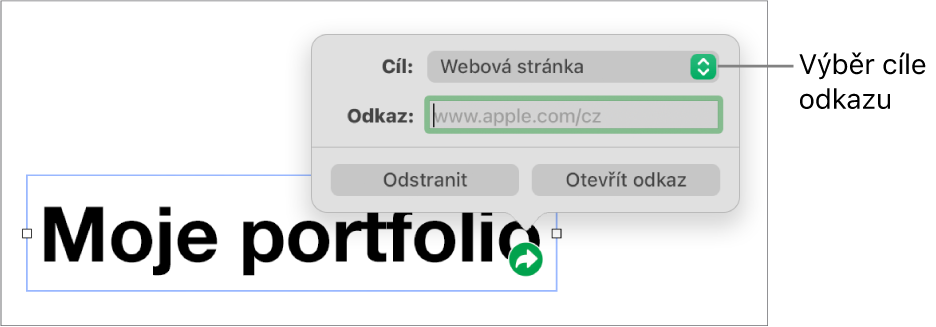 Ovládací prvky editoru odkazů s vybranou volbou Webová stránka a tlačítky Odstranit a Otevřít odkaz v dolní části.