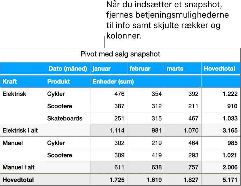 Snapshot af en pivottabel.