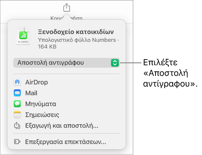 Το μενού «Κοινή χρήση» με επιλεγμένη την «Αποστολή αντιγράφου» στο πάνω μέρος.