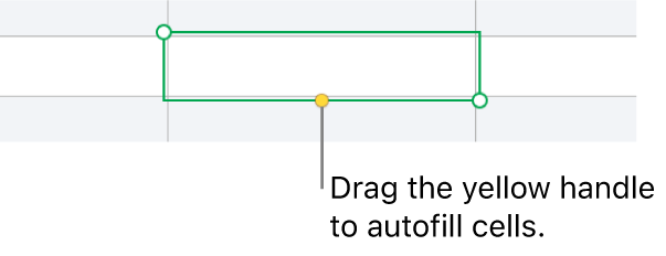 A selected cell with a yellow handle you can drag to auto fill cells.